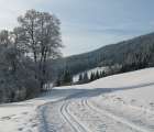 Winter-04.jpg